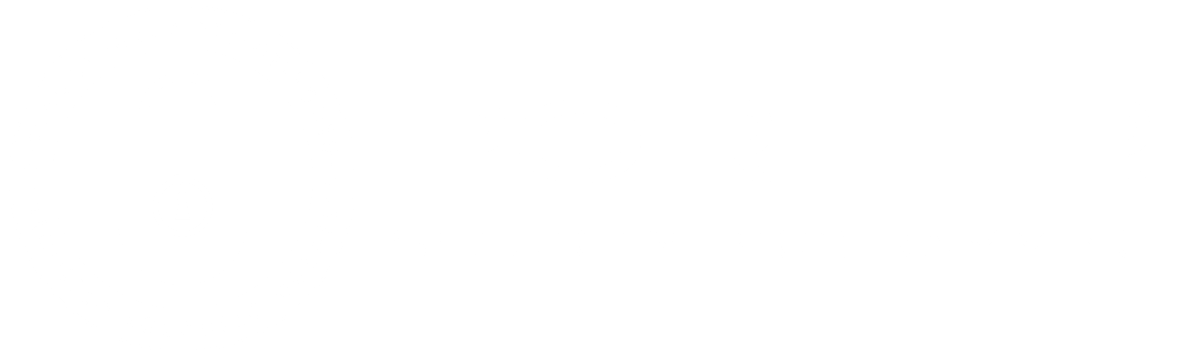 Porter Security Programming